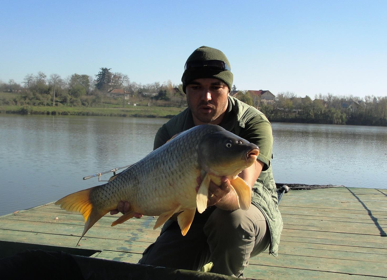 Moara Vlasiei 2 9 - 9 nov. - dsc02935.JPG